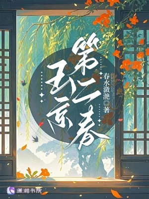 玉京第二春玉京第二春